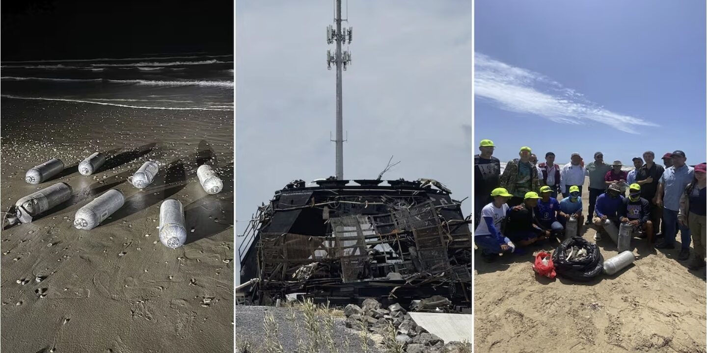 SpaceX mata tortugas y peces en Tamaulipas