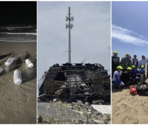 SpaceX mata tortugas y peces en Tamaulipas