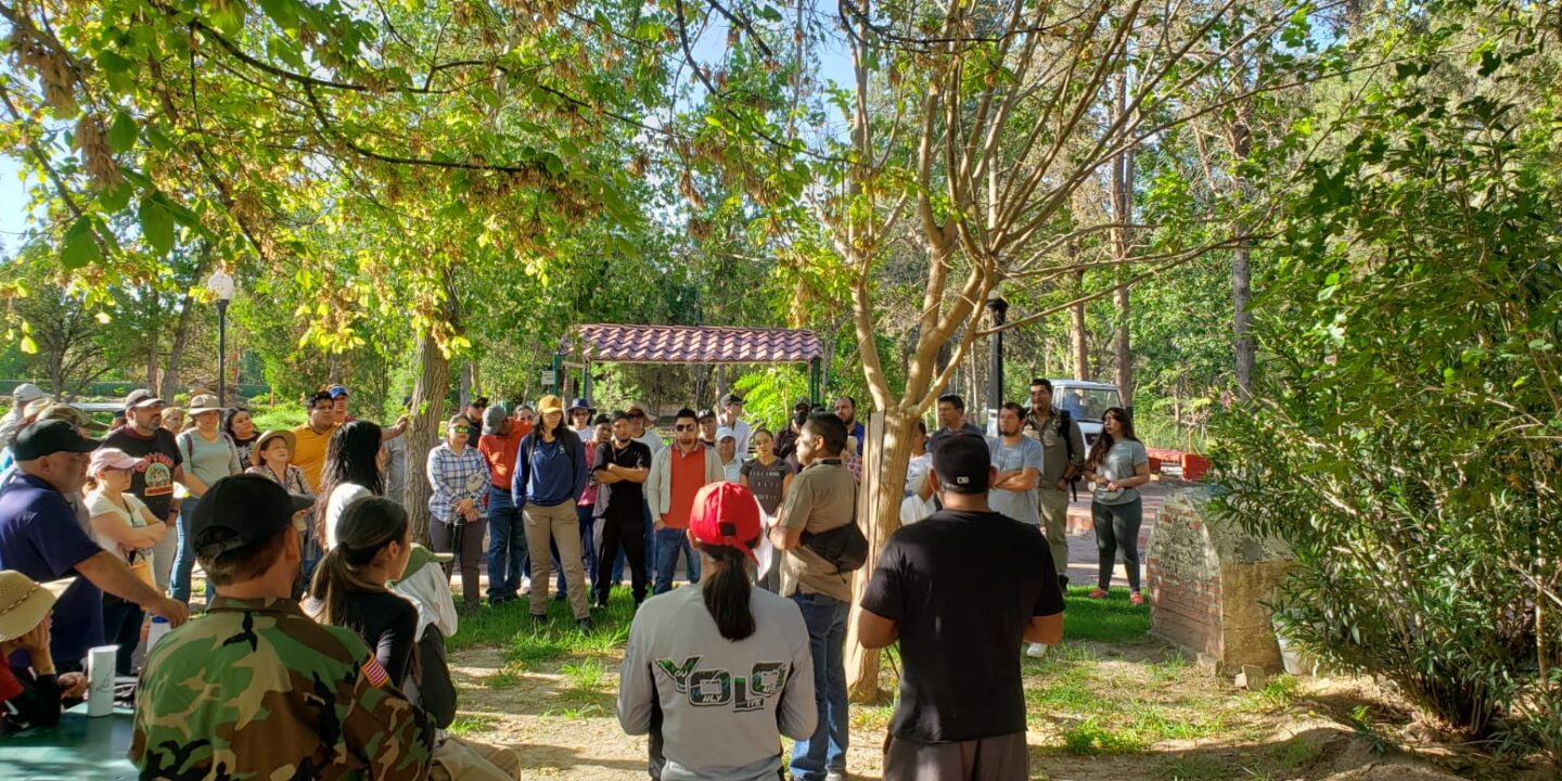 Juárez cambia multas por trabajo comunitario