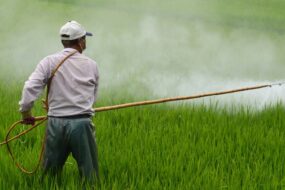 La Federación prohíbe al aldicarb, carbofurán, endosulfán y DDT: nuevas reglas para proteger salud y ambiente