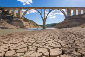 Sequía y calor ponen en riesgo cultivos en el norte del país