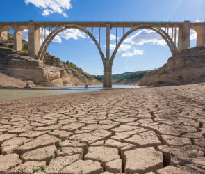 Sequía y calor ponen en riesgo cultivos en el norte del país