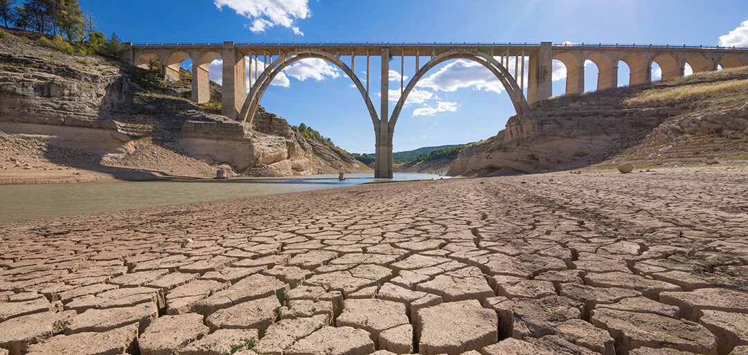 Sequía y calor ponen en riesgo cultivos en el norte del país