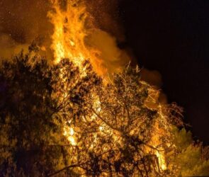 Multa de 11 mil al Border Wine Fest por incendio en El Chamizal, Juárez