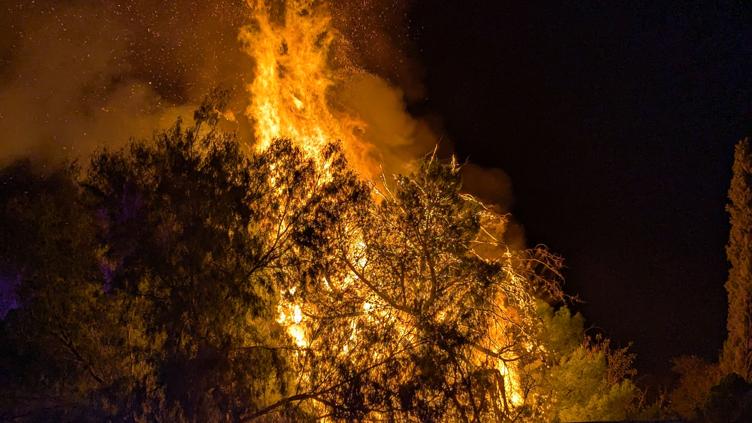 Multa de 11 mil al Border Wine Fest por incendio en El Chamizal, Juárez