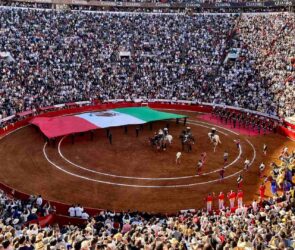 La Corte se niega a revisar amparo que busca frenar corridas de toros en la CDMX