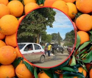 ¡Tiro certero al sector cítrico! Ejecutan al productor de naranja Javier Vargas Arias en Veracruz