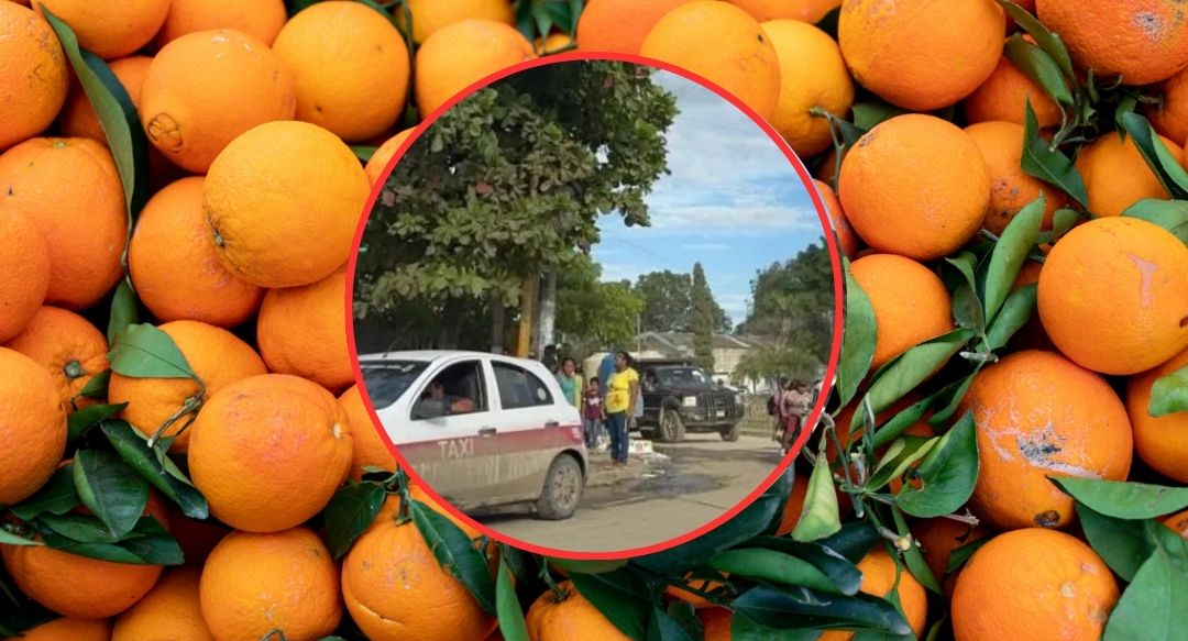 ¡Tiro certero al sector cítrico! Ejecutan al productor de naranja Javier Vargas Arias en Veracruz