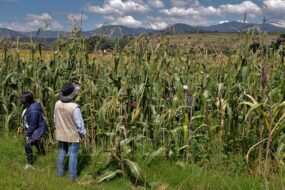 Norte de Tamaulipas en riesgo