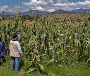 Norte de Tamaulipas en riesgo